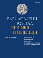 Титульный лист